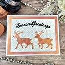 Creative Expressions Craft Dies By Jamie Rodgers - Festive Collection - Christmas Essential Sentiments*
