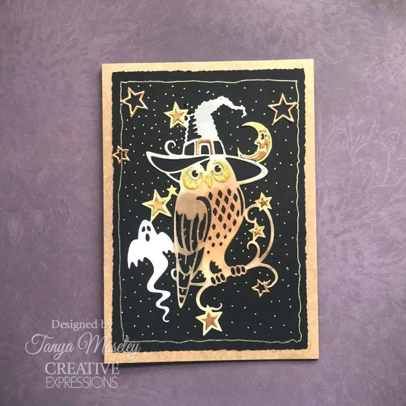 Creative Expressions Paper Cuts Collection Craft Die - Midnight Owl*