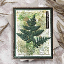 Creative Expressions 4"x 6" Pre-Cut Rubber Stamp By Sam Poole - Nature Fragments