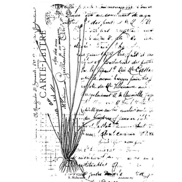 Creative Expressions 4"x 6" Pre-Cut Rubber Stamp By Sam Poole - Rustic Grass