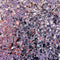 Cosmic Shimmer Spangles Duo Set - Purple Magnolia*