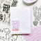 Catherine Pooler Stamp & Die Bundle - Holiday Stacks Sentiments