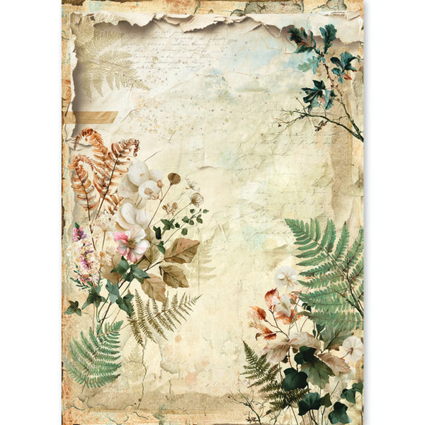 Vintage-style botanical art print featuring distressed beige paper texture with illustrated ferns, leaves, and small flowers in green, cream, pink, and brown tones.