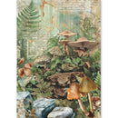 A vertical art print or wallpaper panel featuring a detailed woodland collage of mushrooms, ferns, rocks, and weathered script on a textured beige background.