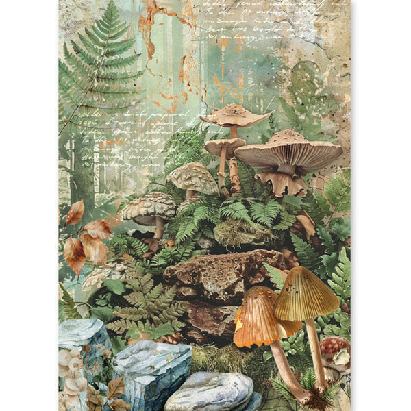 A vertical art print or wallpaper panel featuring a detailed woodland collage of mushrooms, ferns, rocks, and weathered script on a textured beige background.