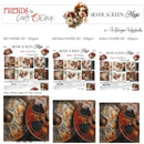 A product display sheet for the 'Silver Screen Magic' paper set by 'Friends & Craft CoClock' and 'Kateryna Kholostakova'. The sheet shows three sizes of 250g craft papers (Big, Medium, Small) with floral and vintage design elements, alongside a preview of the reverse side of the paper cover featuring a textured, rusted metal palette design.