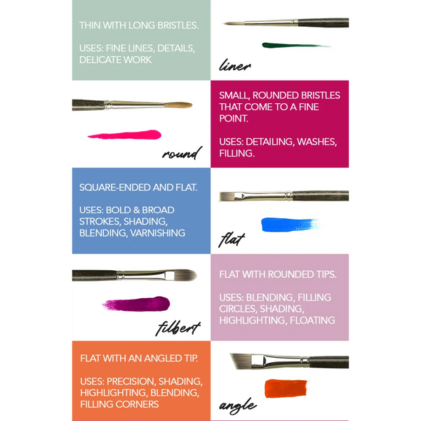An educational paintbrush guide showing six different brush types with color-coded labels, descriptions of their bristle shapes, and paint swatches. The brush types include liner, round, flat, filbert, and angle, with each category highlighted in a distinct pastel color.