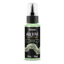 A bottle of Americana BLOOM Textured Paint in the shade Mint Green, featuring a black label with gold lettering and a textured paint sample graphic, on a white background.