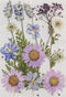 Poppy Crafts Dried Flowers Kit #14 - 18pcs