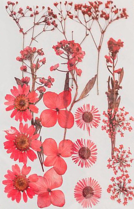 Poppy Crafts Dried Flowers Kit #15 - 16pcs