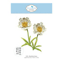 A craft die or stamp design sheet from Elizabeth Craft Designs featuring a blackfoot daisy. The design shows two white flowers with yellow centers and green stems and leaves, with a light blue header displaying the brand logo and a small circular inset showing the stamped design.