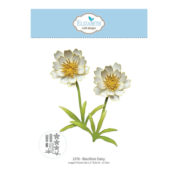 A craft die or stamp design sheet from Elizabeth Craft Designs featuring a blackfoot daisy. The design shows two white flowers with yellow centers and green stems and leaves, with a light blue header displaying the brand logo and a small circular inset showing the stamped design.