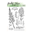 Picket Fence Studios Clear Stamp Set - Sweet Summer Bellflowers*