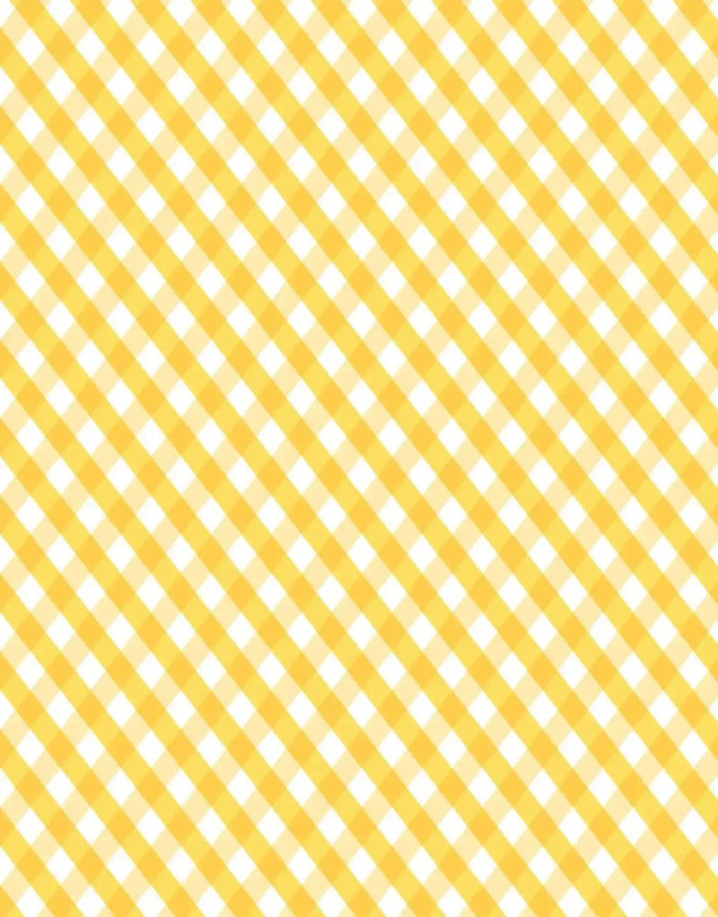 Picket Fence Studios Fabulously Glossy A2 Card Fronts - Happy Gingham*