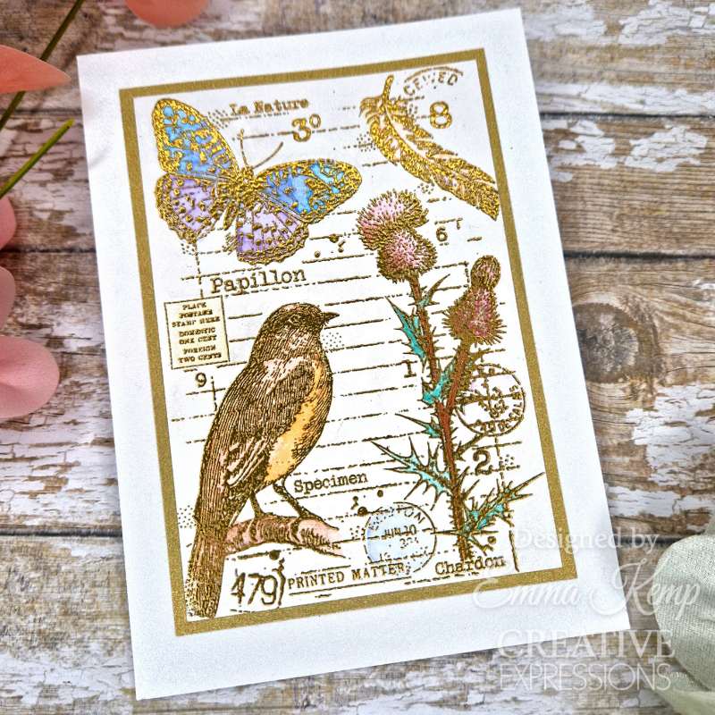Woodware Clear Stamps 4"x 6" - Nature Page
