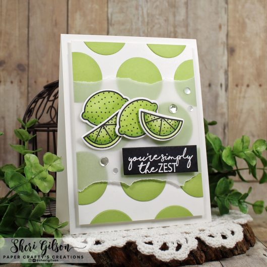 Gina K Designs Clear Stamps - More Fun Fruit*