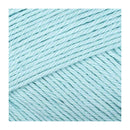 Fiddlesticks Posie Yarn 50g - Sky