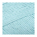 Fiddlesticks Posie Yarn 50g - Sky