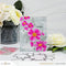 Altenew Dynamic Duo: Floral Whimsy Add-on Die*