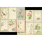 Graphic 45 Keepsake Edition Kit - Botanical Tea
