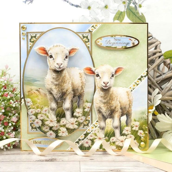 Hunkydory Spring is Here Designer Deco-Large Collection