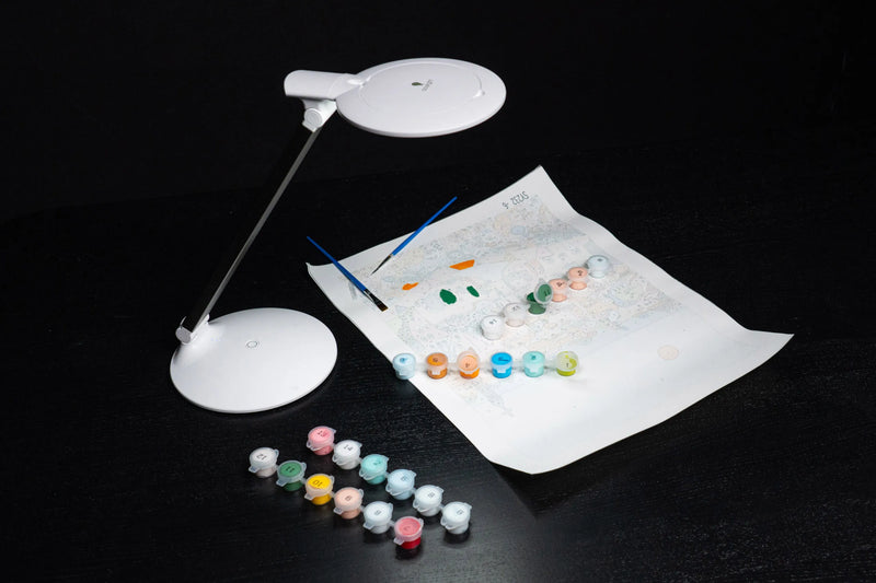 Daylight Halo Go 2 Magnifier Lamp