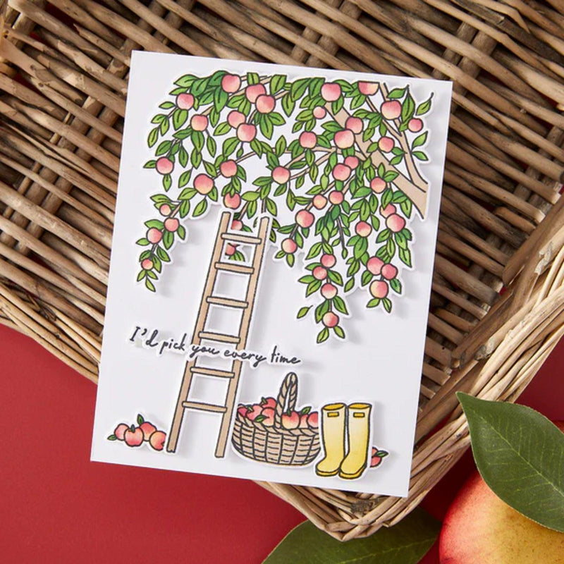 Hero Arts I Pick You Clear Stamp Set - In The Orchard