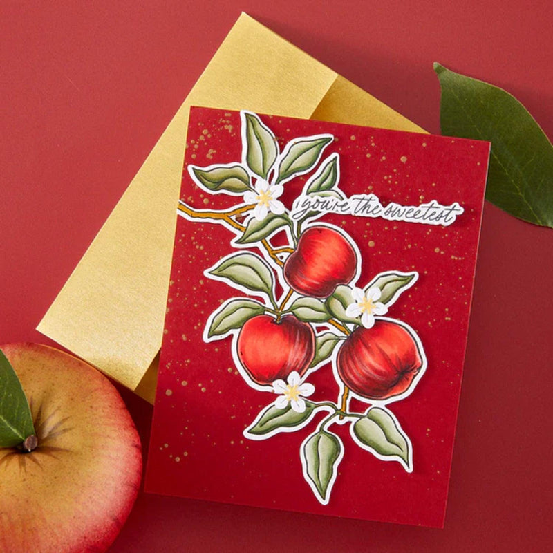 Hero Arts I Pick You Stamp & Cut Set - Apple Branch
