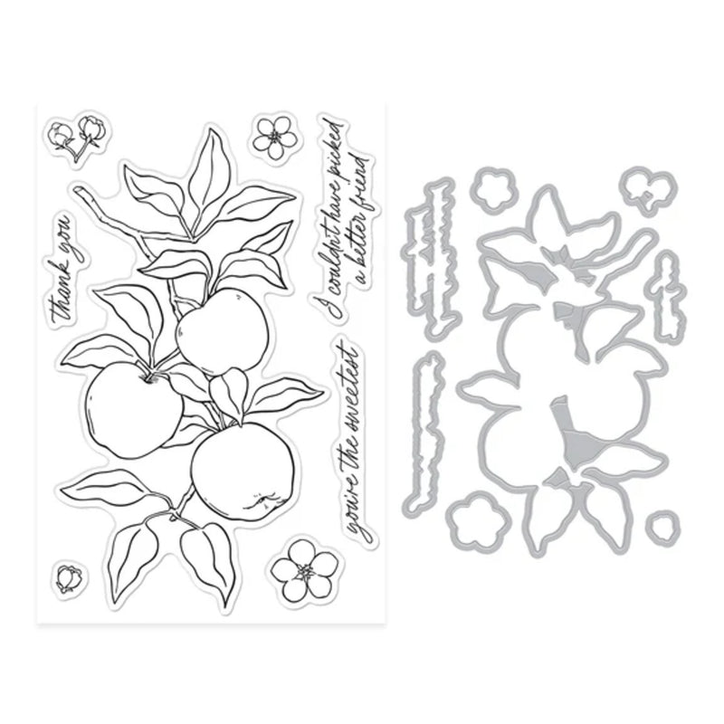 Hero Arts I Pick You Stamp & Cut Set - Apple Branch