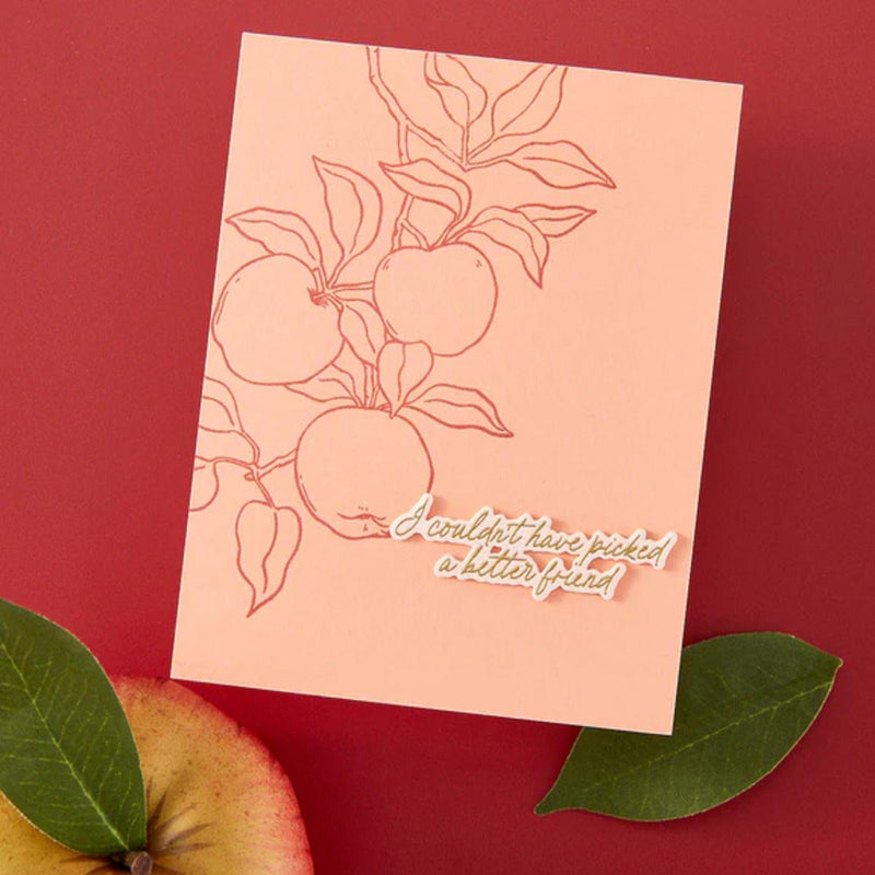 Hero Arts I Pick You Stamp & Cut Set - Apple Branch