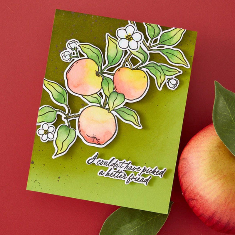 Hero Arts I Pick You Stamp & Cut Set - Apple Branch