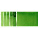 Daniel Smith Extra Fine Watercolour Paint 15ml - Hooker’s Green