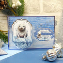 Hunkydory Snow Adorable Luxury Foiled Acetate
