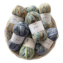 Fiddlesticks Jester 4ply Sock Yarn 50g - Grey-Blue
