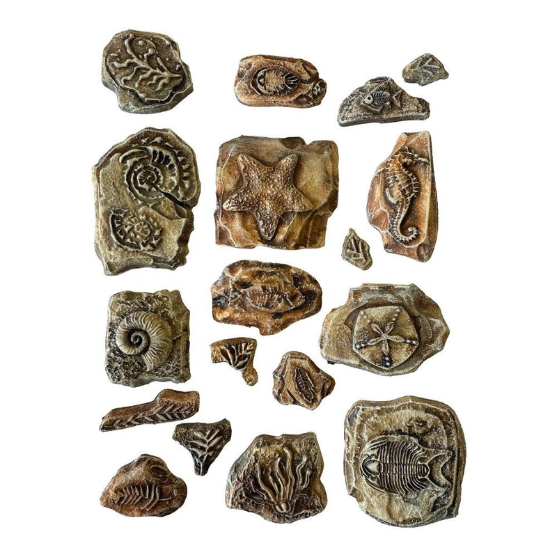 Stamperia Soft Maxi Mould A5 - Silent Sea - Fossils