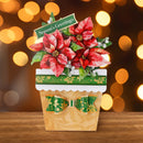 Decorative poinsettia plant with 'Season's Greetings' sign on a wooden surface with blurred lights in the background.