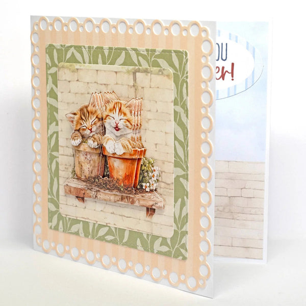 Greeting card with two cats in pots on a decorative background