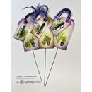 Lavinia Stamps - Rosemary & Thyme Pots