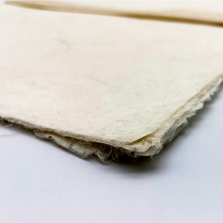 Lavinia Lokta A4 Paper 10 Pack