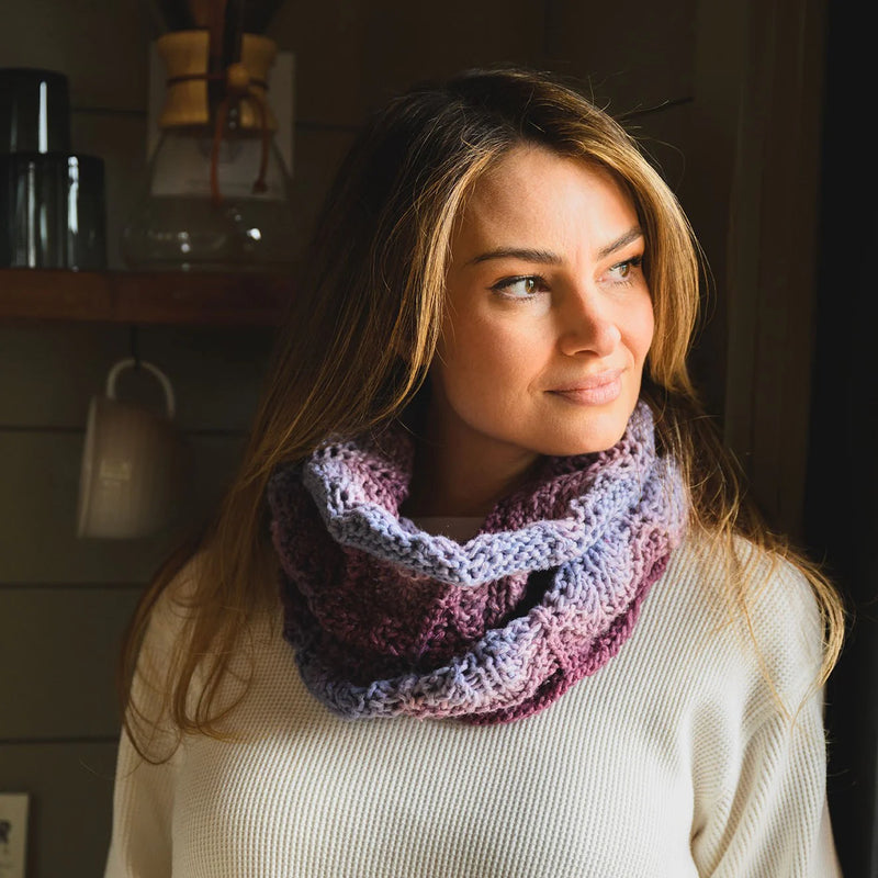 Lion Brand Landscapes Renewed Yarn - Desert Spring