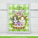 A handmade greeting card featuring two cartoon dogs in a basket with the text 'I'm sorry Things have been ruff'. The card has a green gingham background, scalloped edges, and is displayed on a light wood background.