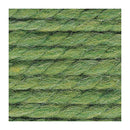 Lion Brand Wool-Ease Thick & Quick Yarn - Grass