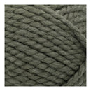 Lion Brand Wool-Ease Thick & Quick Yarn - Seaweed