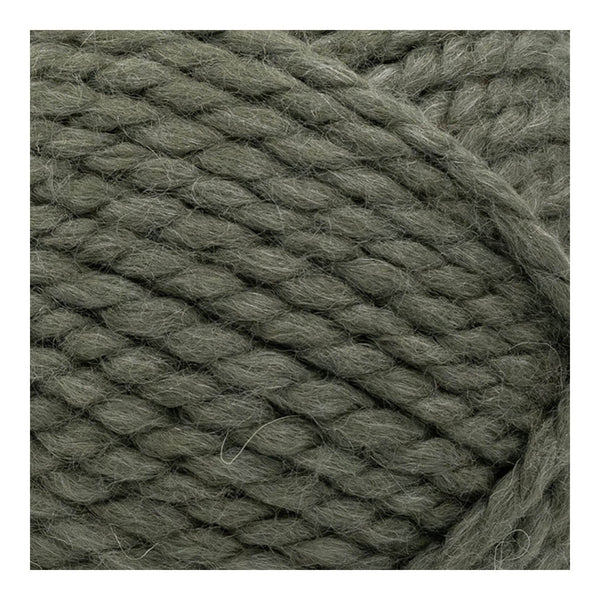 Lion Brand Wool-Ease Thick & Quick Yarn - Seaweed