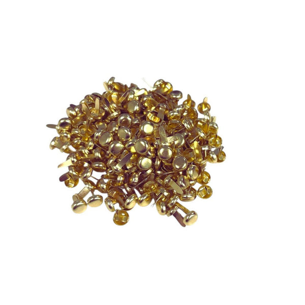 A pile of small Bronze metal push pins or rivets on a plain white background.