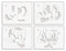 Altenew Magical Peony Simple Colouring Stencil Set