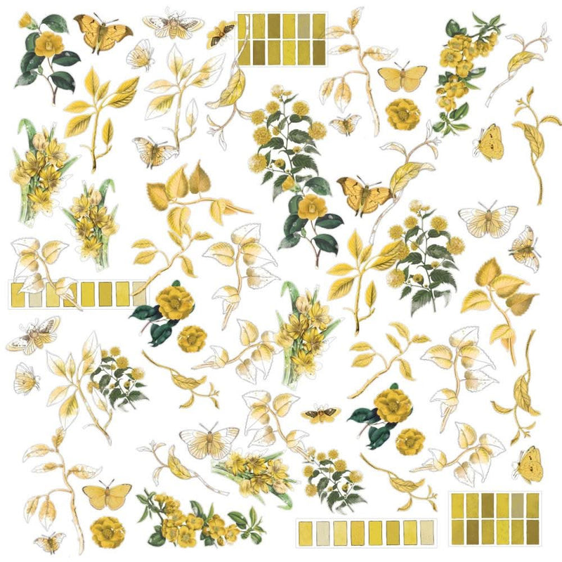 49 And Market Colour Swatch: Ochre Acetate Assortment 64/Pkg*