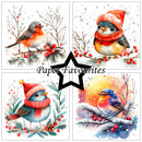 Paper Favourites 6" x 6" Paper Pack - Christmas Birds