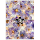 A four-panel floral art print featuring translucent purple flowers with gold veining on a soft cream background, arranged in a 2x2 grid with a black star outline and the text 'Paper Favourites' across the center.