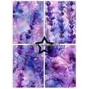 A four-panel floral wallpaper or fabric pattern set featuring purple and lavender flowers blended with pink and blue watercolor-like swirls. A black star outline and the words 'Paper Favourites' are overlaid across the center.